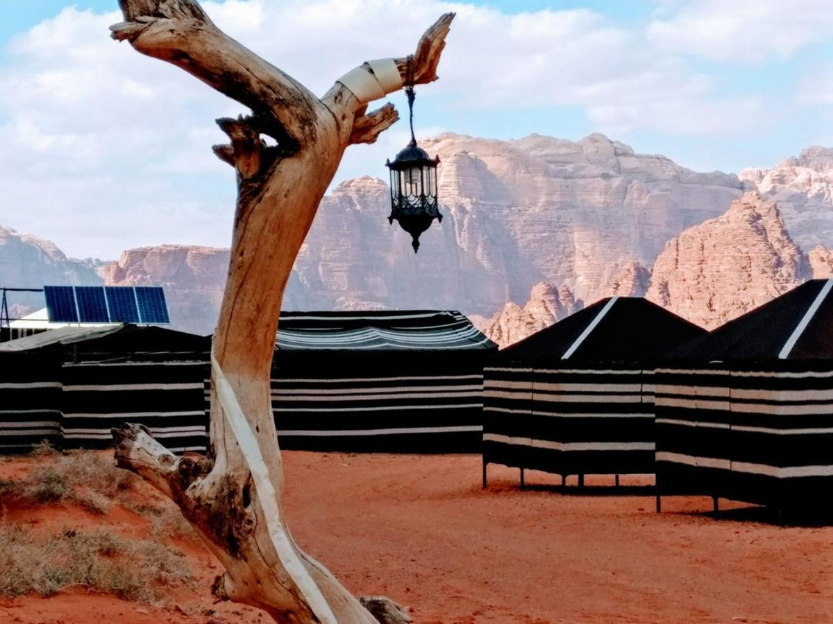 Desert Tree Camp&Tours Wadi Rum Eksteriør billede