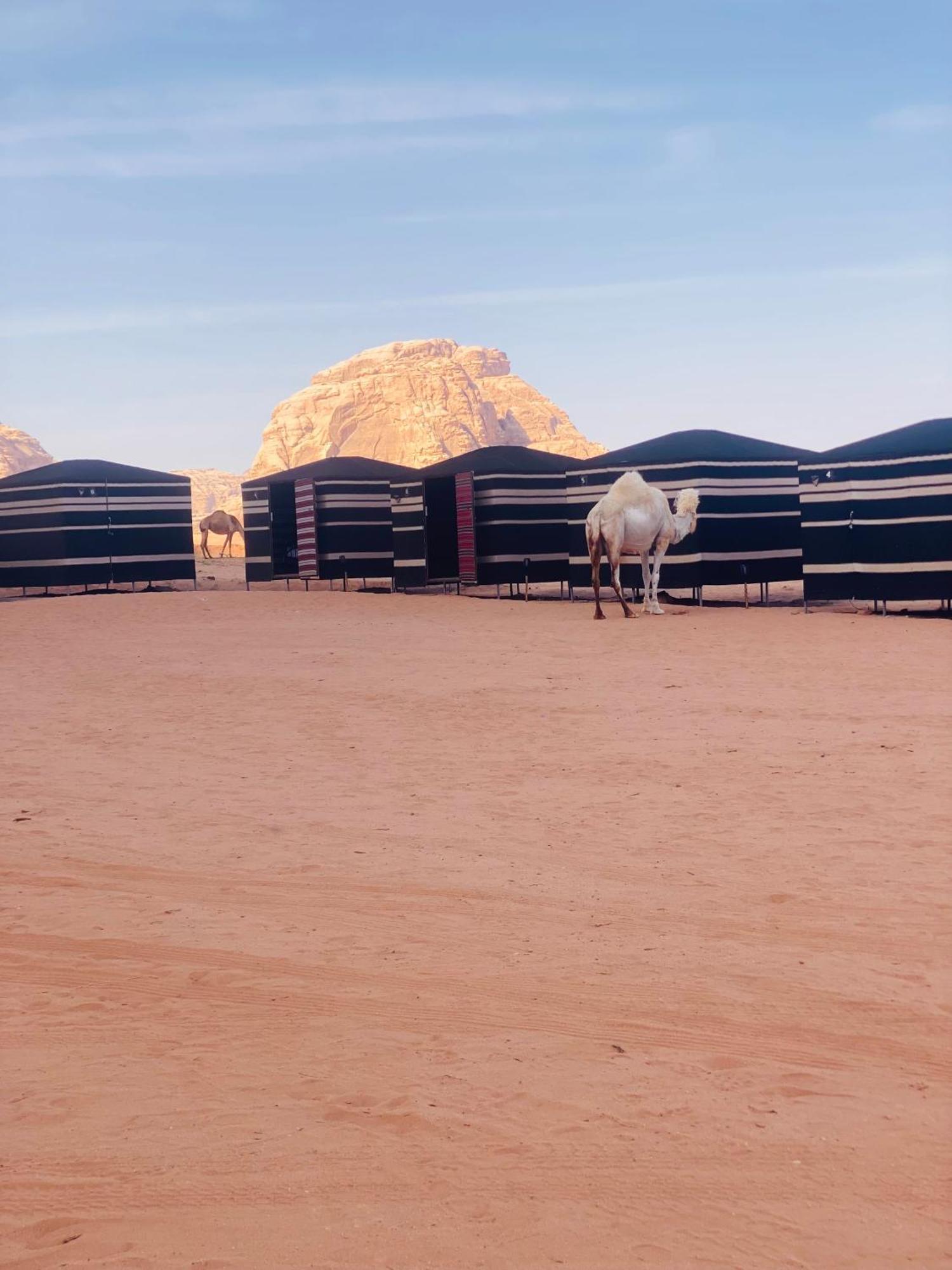 Desert Tree Camp&Tours Wadi Rum Eksteriør billede